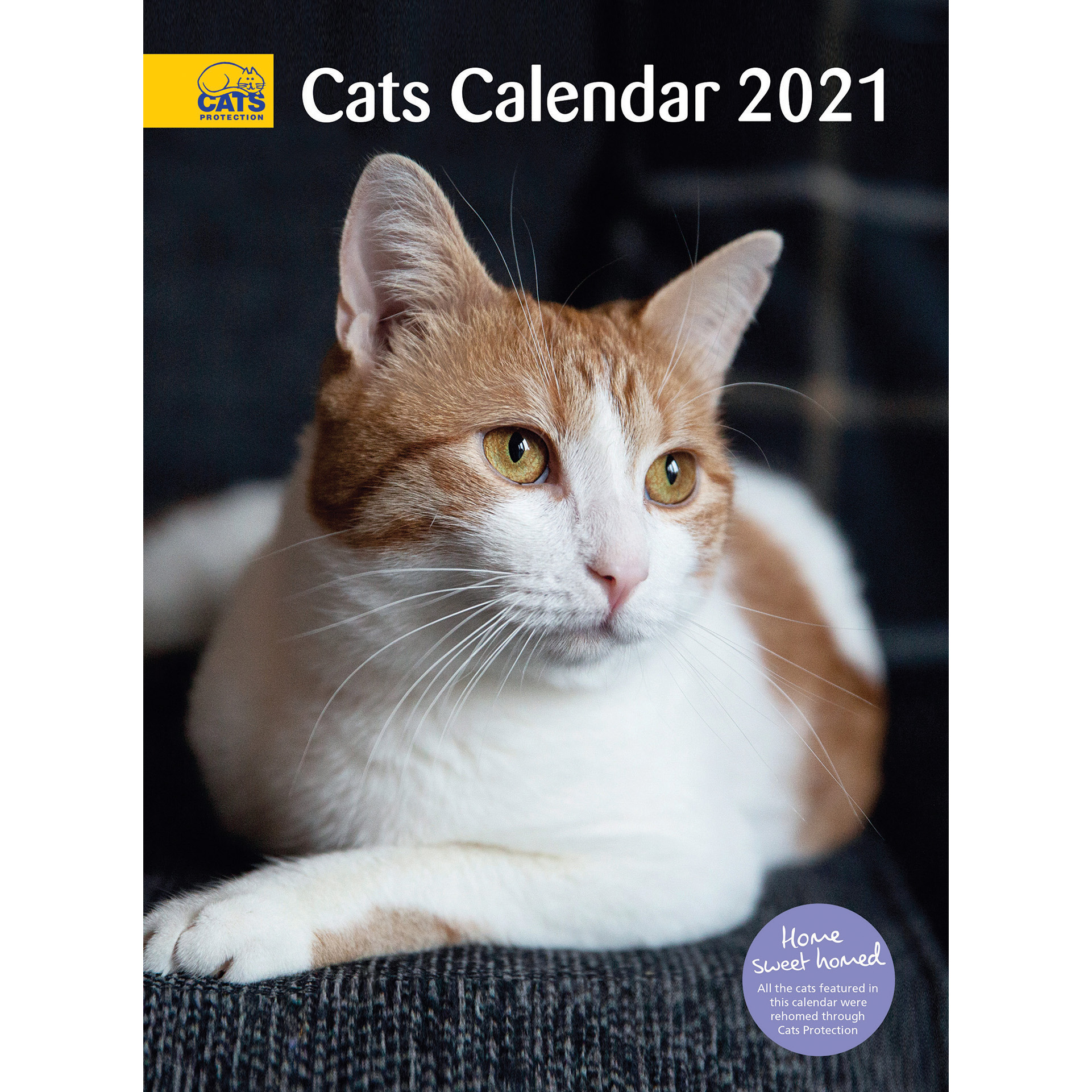 Cats Protection Cats Calendar 2021 | Buy from the Cats Protection Shop