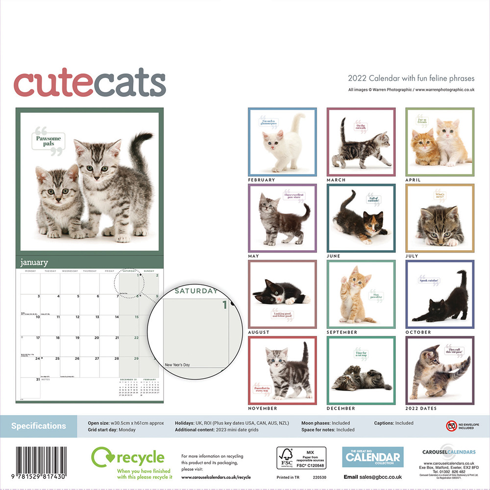 Cute Cats Wall Calendar 2022 | Buy from the Cats Protection Shop