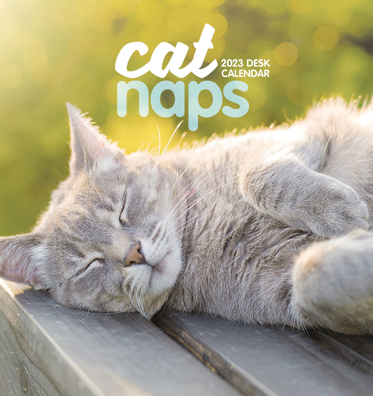 Cat Naps Easel Desk Calendar 2023 Buy from the Cats Protection Shop