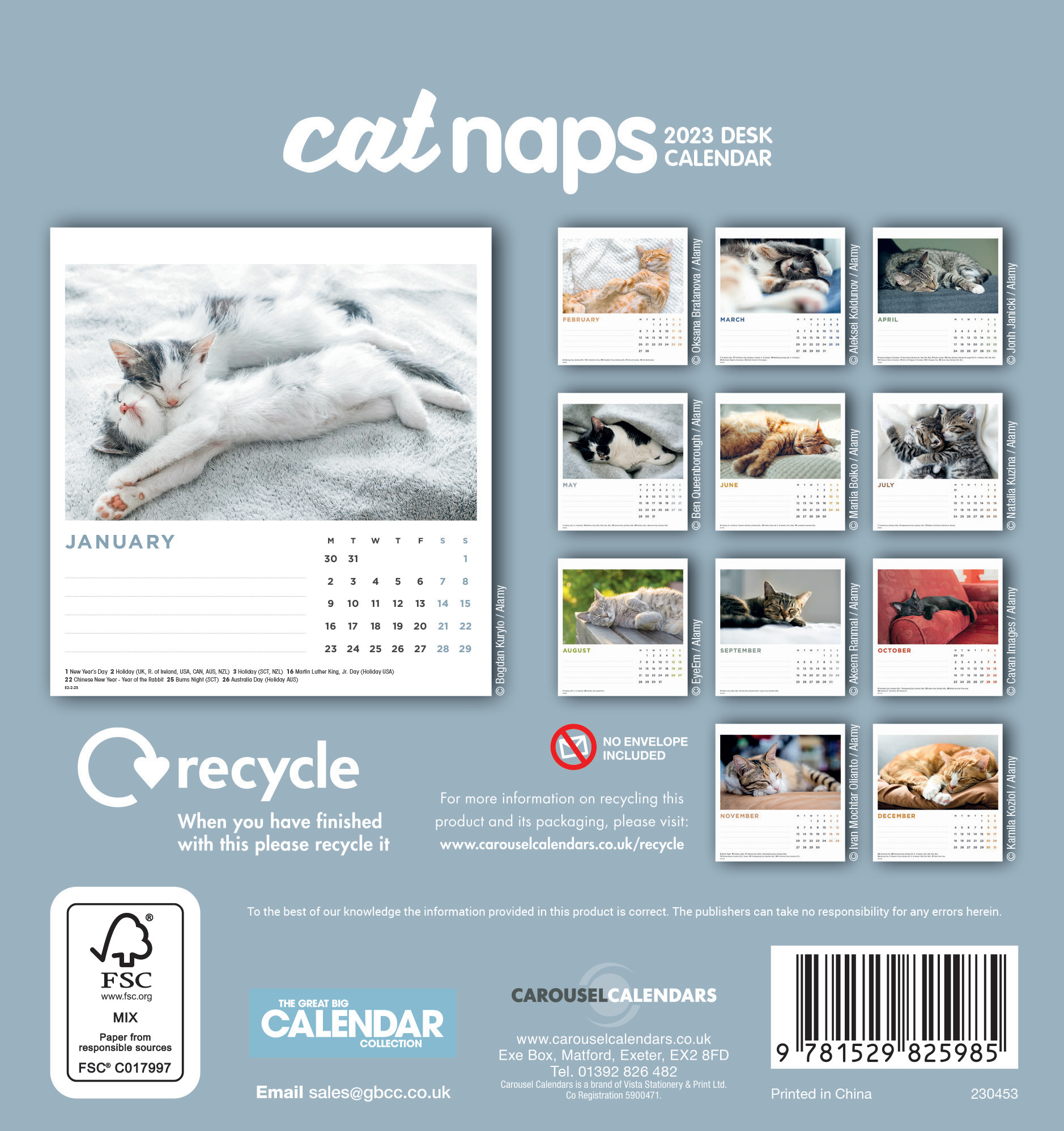 Cat Naps Easel Desk Calendar 2023 Buy from the Cats Protection Shop