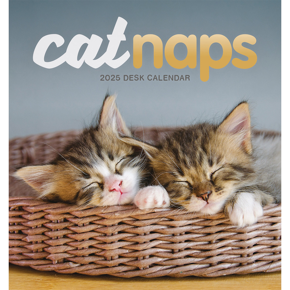 Cat naps easel desk calendar 2025