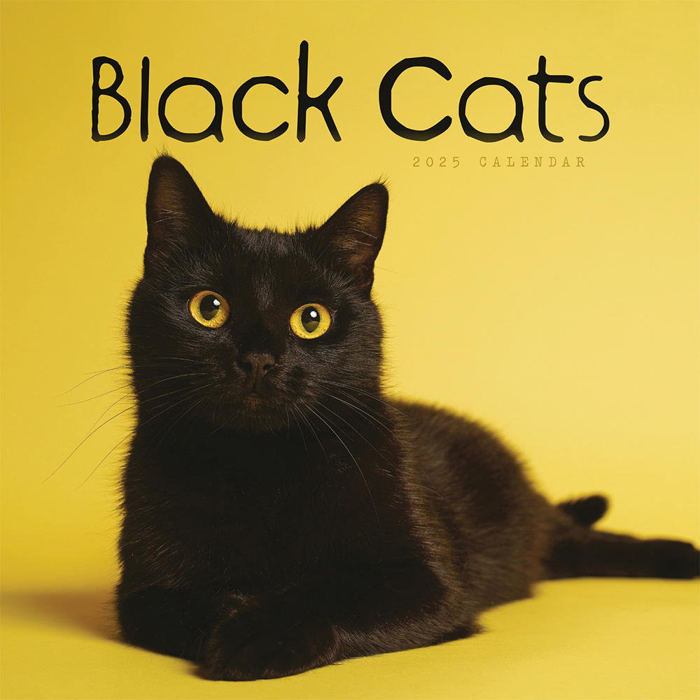 Black cats wall calendar 2025