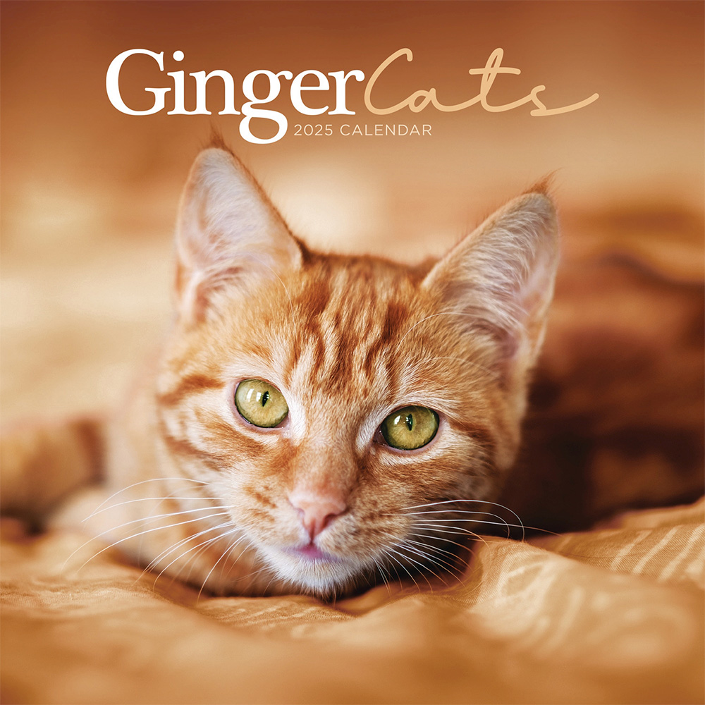 Ginger cats wall calendar 2025