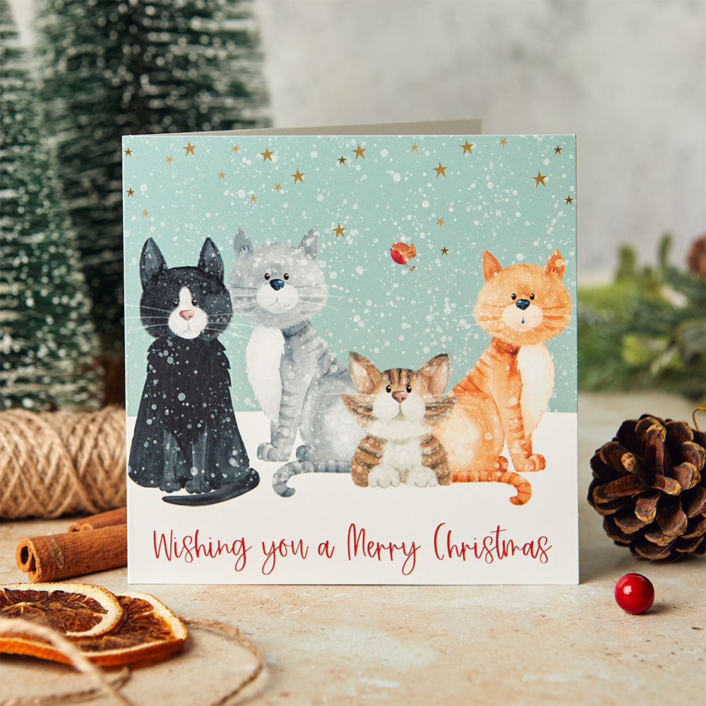 Winter whiskers 10 cards