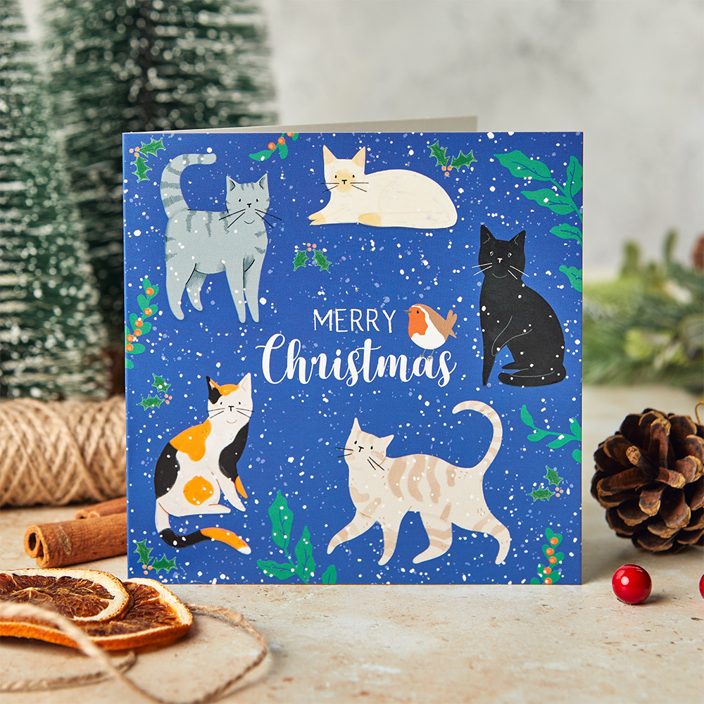 Merry Christmas cats 10 cards