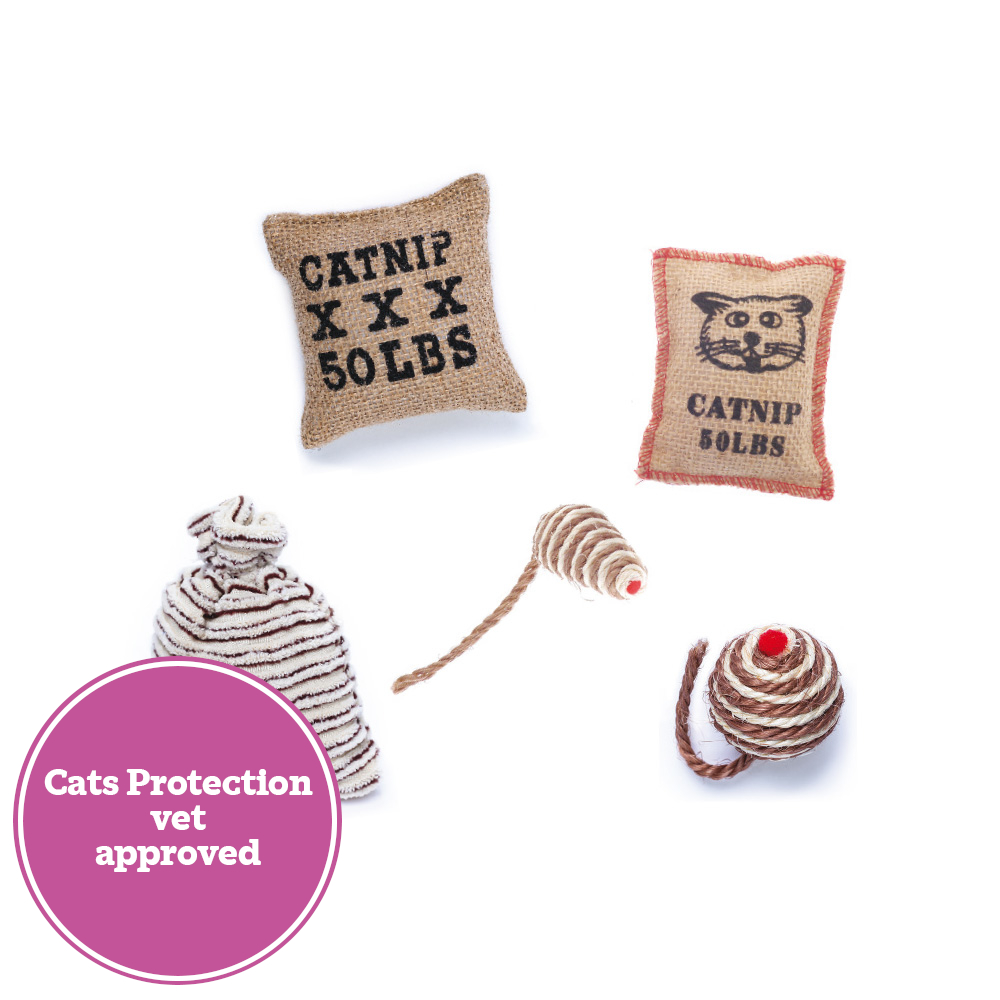 Cat toy bumper pack